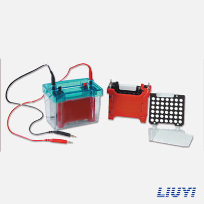 北京六一DYCZ-40D轉(zhuǎn)印電泳儀(小號(hào))